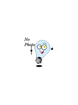 113205 E14 Sphérique Couleur 230V Orange 25w