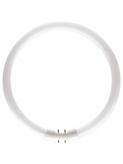 4530200528564 2GX13 CIRCLINE 55w 6500K /865 OSRAM