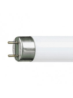 G13 Fluorescent Lamp 15w 3000K /830 WarmWhite Philips