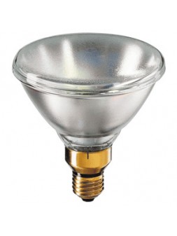 152000 E27 PAR38 24V 120w SP PHILIPS
