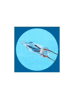 1630500167182 Luciole Claire 24V 40mA