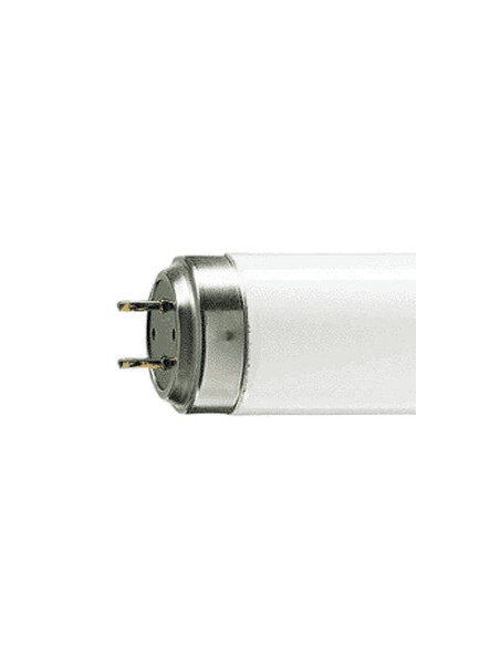 950070 G13 Tube fluorescent 60W /10 R UVA PHILIPS