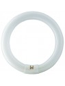 4530100284747 G10Q CIRCLINE 40w 4000K /840 Diamètre 409mm PHILIPS