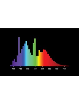 408818 G13 Tube Fluorescent 18w FLUORA 77 OSRAM