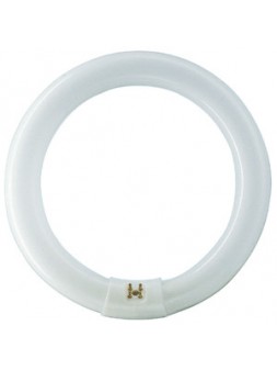 4530100285133 G10Q CIRCLINE 22w /10 Actinique Diamètre 216mm PHILIPS