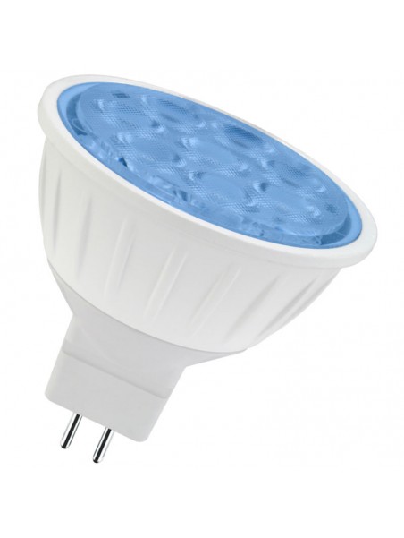 6160500420713 GU5,3 LED D50 5,5w Bleue 12V