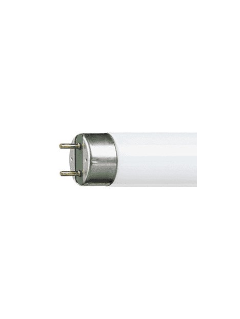What is a discount t8 fluorescent tube