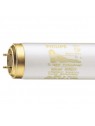 950221 G13 Tube fluorescent 100W CLEO Professional PHILIPS