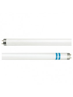 407584 G13 TL-D Secura 58w /840 PHILIPS (gainé)