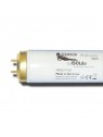 950202R G13 Tube fluorescent R UVA 100W CLEO Performance PHILIPS