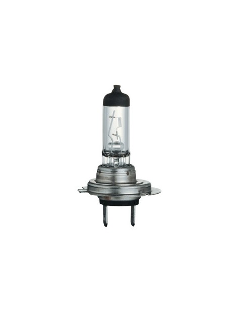 PX26D Lampe Halogène claire H7 11x59 12v 55w 64210 OSRAM