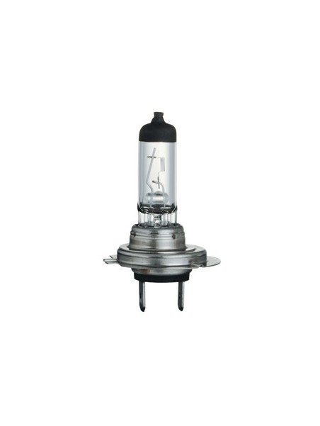 8040200006226 PX26D Lampe Halogène claire H7 11x59 12v 55w 64210 OSRAM