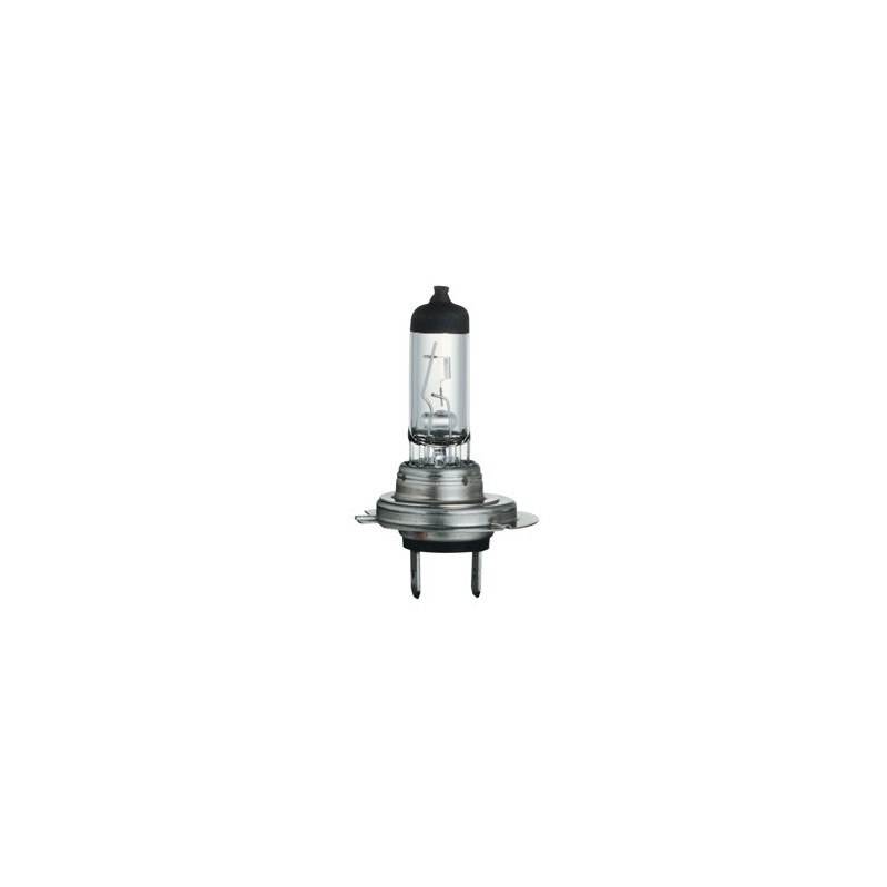 PX26D Lampe Halogène claire H7 11x59 12v 55w 64210 OSRAM