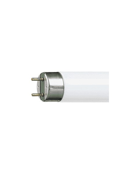 455365P G13 Tube Fluorescent 36w 5300K 950 Lumière du Jour PHILIPS