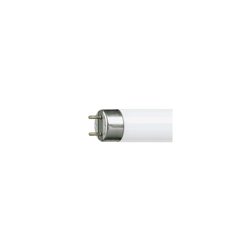 455365P G13 Tube Fluorescent 36w 5300K 950 Lumière du Jour PHILIPS