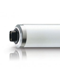 4520100662410 R17D Tube fluorescent 100W /12 UVB PHILIPS