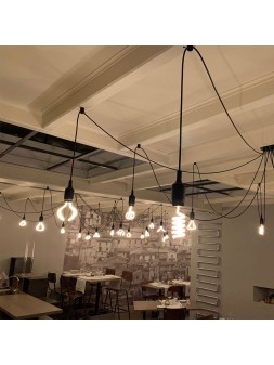 6070500403044 E27 Spiraled Silhouette Flower 12w 2200K Claire 240V Dimmable