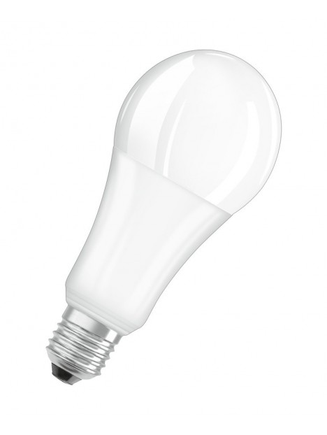 Ampoule LED Culot E27 20W